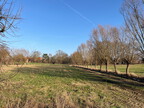2026-01-18 27. Grünkohlwanderung des Backhaus Vereins, Dannes Busch, Ahnsbecker Kanal, Heidehof Thalau 017
